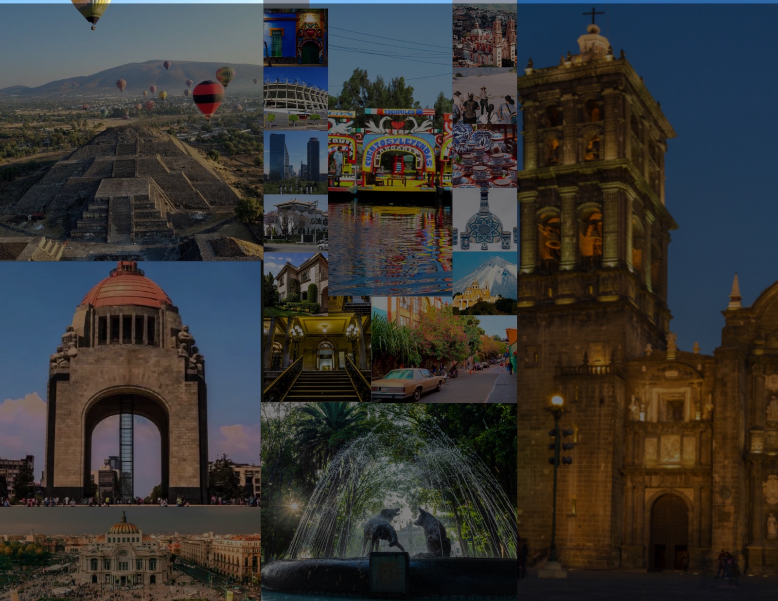 Aventura en la selva